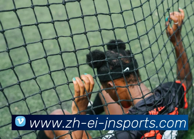 江南体育APP 高清赛事图