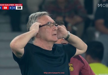 JN江南体育-法甲球队稳定性评价及影响因素分析