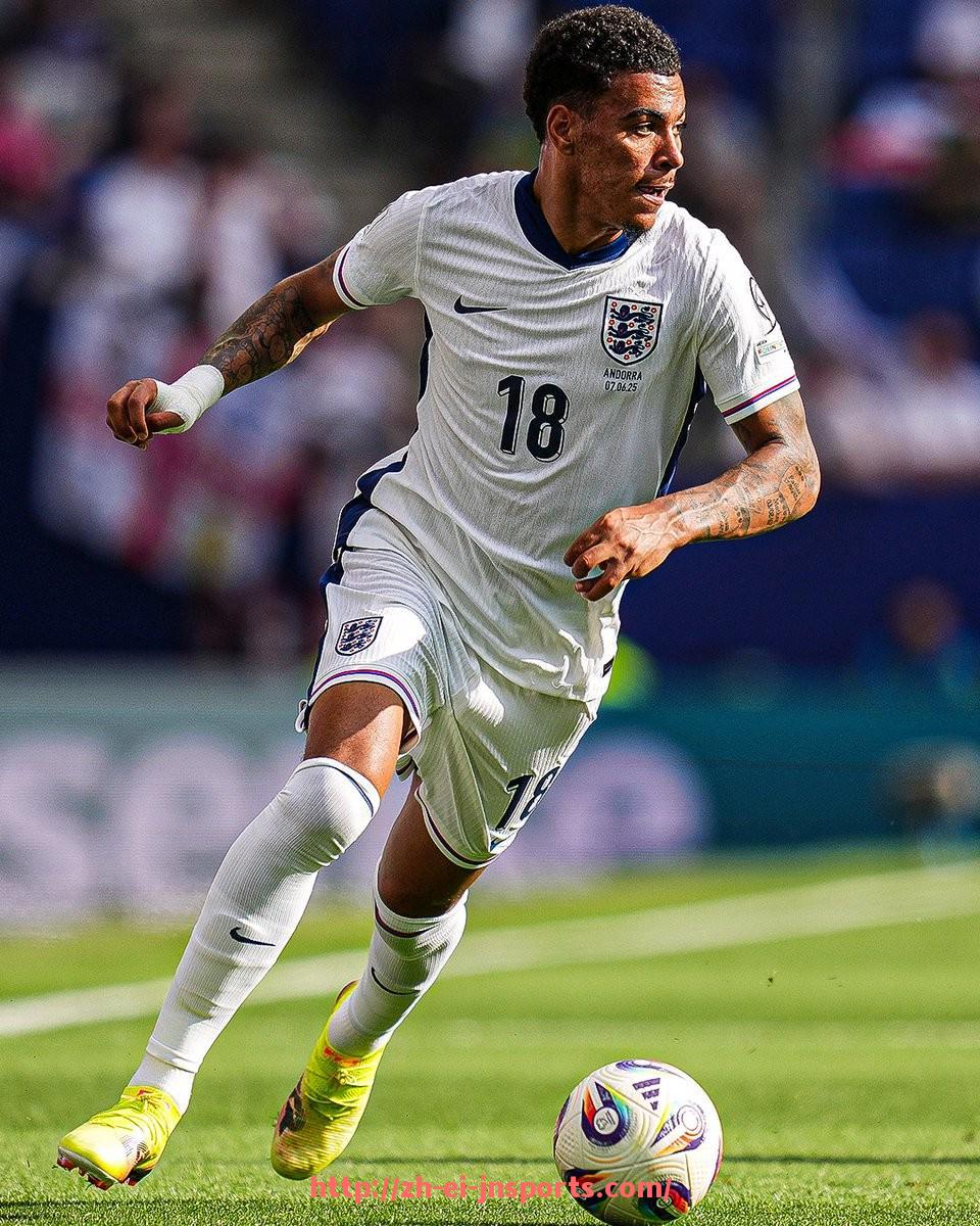 JN江南体育-十年前英超球员工资水平及其变化趋势(2014年数据)